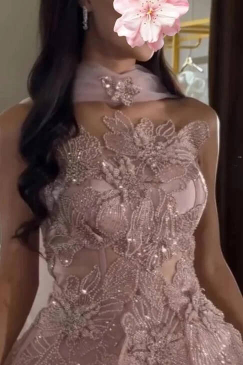 Stunning Pink Prom Dress Beaded Lace Appliqued Corset Tulle Formal Dress with Watteau Train