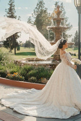 White Wedding Dress V Neck Lace Sequined Ball Gown Long Sleeves Cathedral Train Bridal Gown